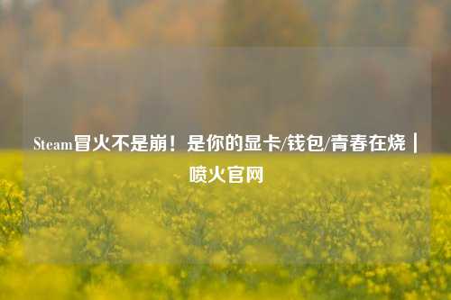 Steam冒火不是崩!是你的显卡/钱包/青春在烧|喷火官网