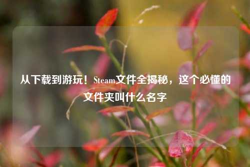 从下载到游玩!Steam文件全揭秘,这个必懂的文件夹叫什么名字
