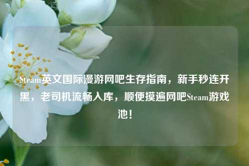 Steam英文国际漫游网吧生存指南,新手秒连开黑,老司机流畅入库,顺便摸遍网吧Steam游戏池!