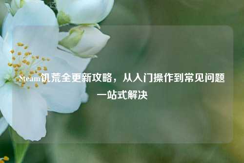 Steam饥荒全更新攻略,从入门操作到常见问题一站式解决