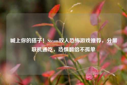 喊上你的搭子!Steam双人恐怖游戏推荐,分屏联机通吃,恐惧翻倍不孤单