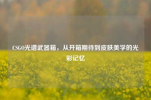 CSGO光谱武器箱,从开箱期待到皮肤美学的光彩记忆