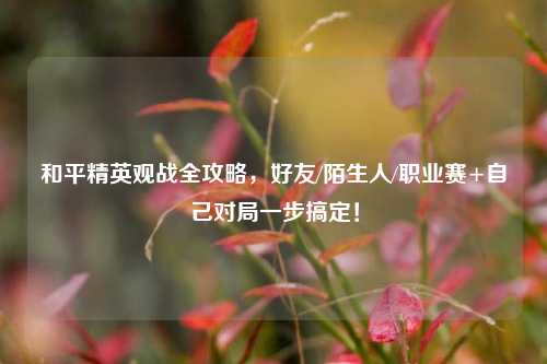 和平精英观战全攻略,好友/陌生人/职业赛+自己对局一步搞定!
