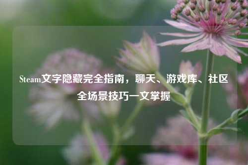 Steam文字隐藏完全指南,聊天、游戏库、社区全场景技巧一文掌握