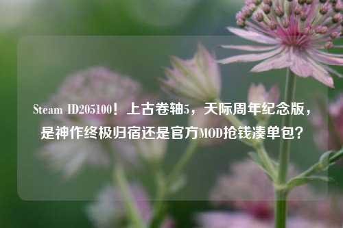 Steam ID205100!上古卷轴5,天际周年纪念版,是神作终极归宿还是官方MOD抢钱凑单包?