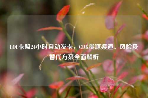 LOL卡盟24小时自动发卡,CDK货源渠道、风险及替代方案全面解析
