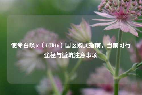 使命召唤16(COD16)国区购买指南,当前可行途径与避坑注意事项