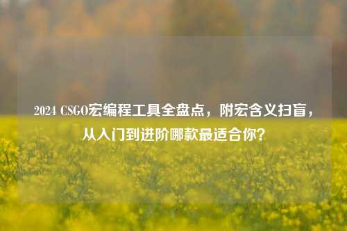 2024 CSGO宏编程工具全盘点,附宏含义扫盲,从入门到进阶哪款最适合你?