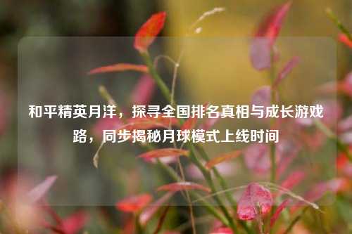 和平精英月洋,探寻全国排名真相与成长游戏路,同步揭秘月球模式上线时间