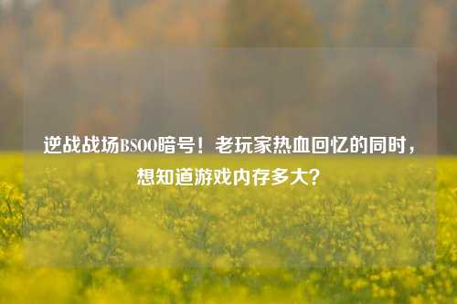 逆战战场BSOO暗号!老玩家热血回忆的同时,想知道游戏内存多大?