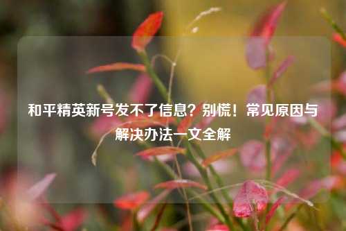 和平精英新号发不了信息?别慌!常见原因与解决办法一文全解