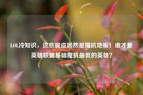 LOL冷知识,这些脆皮居然是魔抗地板!谁才是英雄联盟基础魔抗更低的英雄?