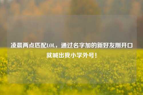 凌晨两点匹配LOL,通过名字加的新好友刚开口就喊出我小学外号!