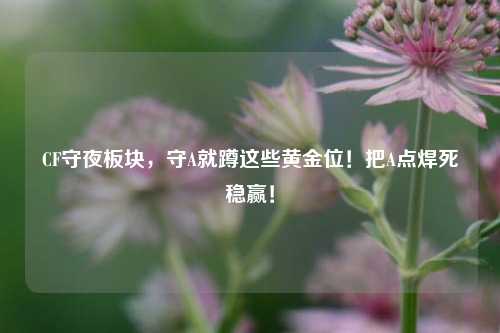 CF守夜板块,守A就蹲这些黄金位!把A点焊死稳赢!