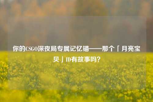 你的CSGO深夜局专属记忆锚——那个「月亮宝贝」ID有故事吗?
