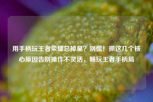 用手柄玩王者荣耀总掉星?别慌!抓这几个核心原因告别操作不灵活,畅玩王者手柄局