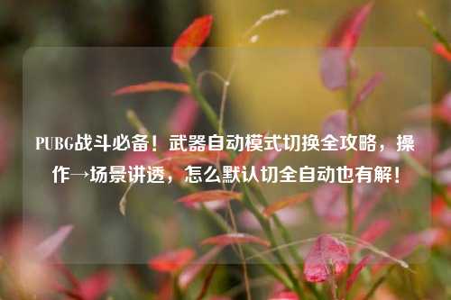 PUBG战斗必备!武器自动模式切换全攻略,操作→场景讲透,怎么默认切全自动也有解!