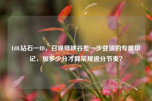 LOL钻石一ID,召唤师峡谷差一步登顶的专属印记,加多少分才算常规追分节奏?