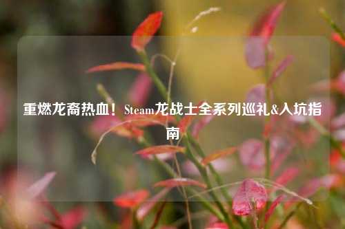 重燃龙裔热血!Steam龙战士全系列巡礼&入坑指南