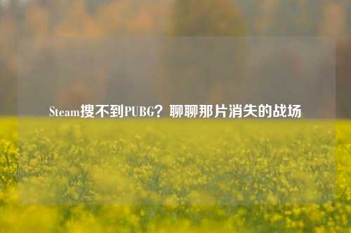 Steam搜不到PUBG?聊聊那片消失的战场