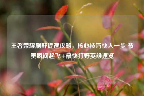 王者荣耀刷野提速攻略,核心技巧快人一步 节奏瞬间起飞+最快打野英雄速览