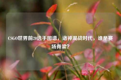 CSGO世界前20选手图谱,诸神混战时代,谁是赛场脊梁?