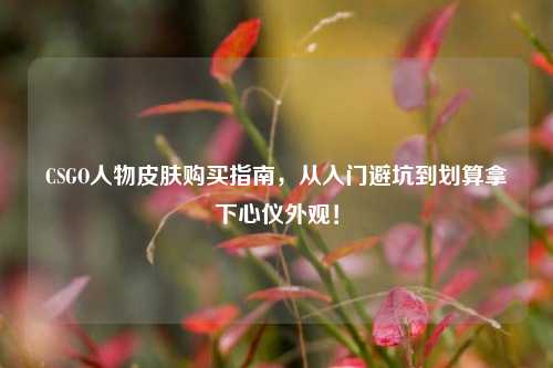 CSGO人物皮肤购买指南,从入门避坑到划算拿下心仪外观!