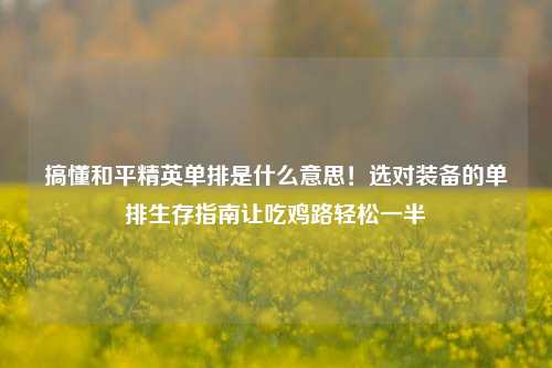 搞懂和平精英单排是什么意思!选对装备的单排生存指南让吃鸡路轻松一半