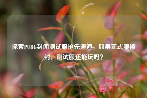 探索PUBG封闭测试服抢先通道,如果正式服被封,测试服还能玩吗?