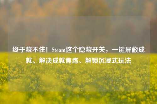 终于藏不住!Steam这个隐藏开关,一键屏蔽成就、解决成就焦虑、解锁沉浸式玩法