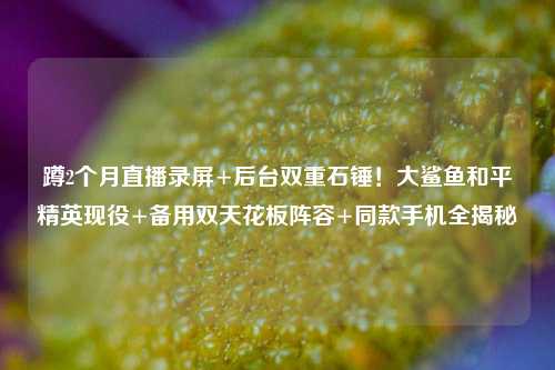 蹲2个月直播录屏+后台双重石锤!大鲨鱼和平精英现役+备用双天花板阵容+同款手机全揭秘