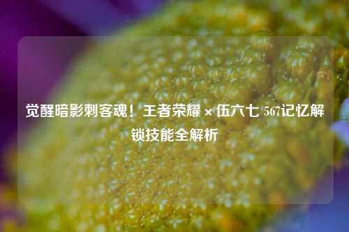 觉醒暗影刺客魂!王者荣耀×伍六七 567记忆解锁技能全解析