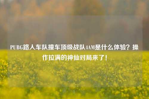 PUBG路人车队撞车顶级战队4AM是什么体验?操作拉满的神仙对局来了!