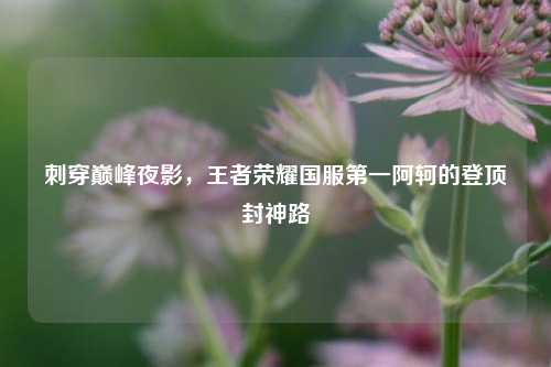 刺穿巅峰夜影,王者荣耀国服之一阿轲的登顶封神路
