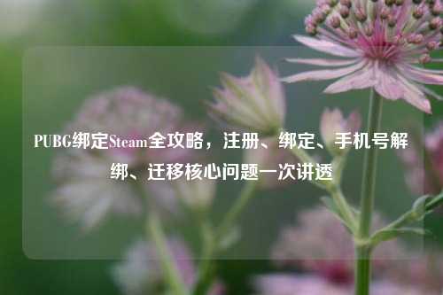 PUBG绑定Steam全攻略,注册、绑定、手机号解绑、迁移核心问题一次讲透