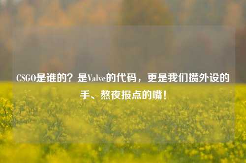 CSGO是谁的?是Valve的代码,更是我们攒外设的手、熬夜报点的嘴!