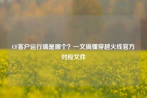 CF客户运行端是哪个?一文搞懂穿越火线官方对应文件