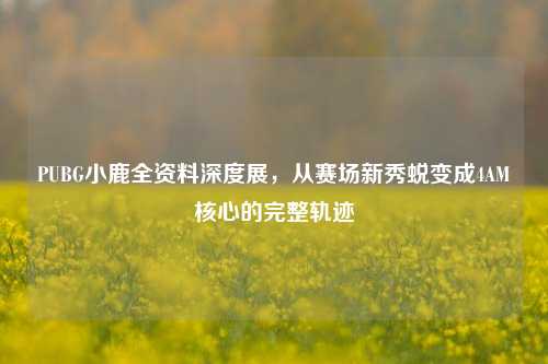 PUBG小鹿全资料深度展,从赛场新秀蜕变成4AM核心的完整轨迹