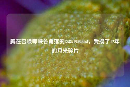 蹲在召唤师峡谷角落的358519593lol,我攒了12年的月光碎片