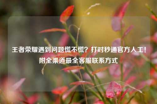 王者荣耀遇到问题慌不慌?打对秒通官方人工!附全渠道最全 联系方式