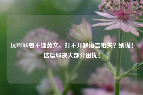 玩PUBG看不懂英文、打不开缺语言相关?别慌!这篇解决大部分困扰!