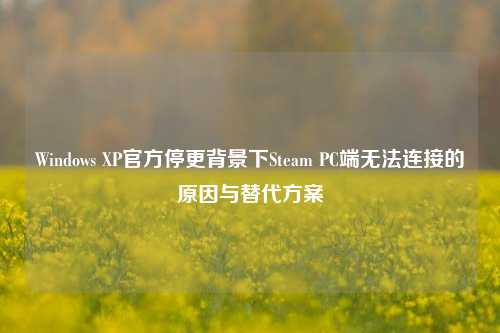 Windows XP官方停更背景下Steam PC端无法连接的原因与替代方案