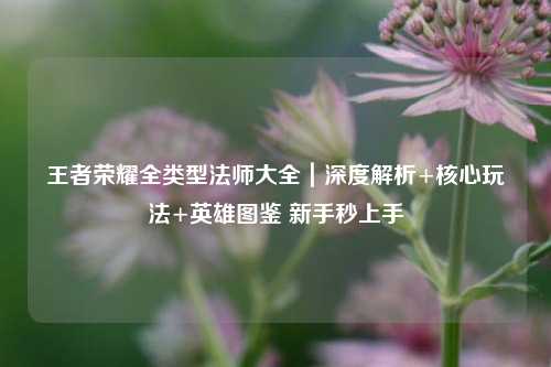 王者荣耀全类型法师大全|深度解析+核心玩法+英雄图鉴 新手秒上手