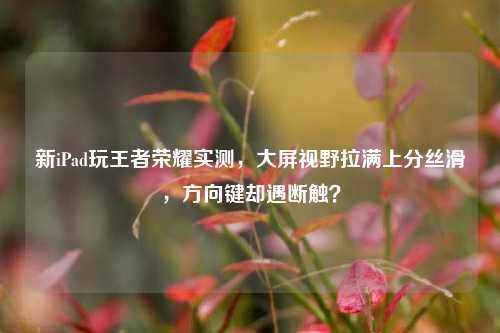 新iPad玩王者荣耀实测,大屏视野拉满上分丝滑,方向键却遇断触?