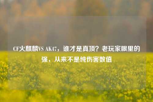 CF火麒麟VS AK47,谁才是真顶?老玩家眼里的强,从来不是纯伤害数值