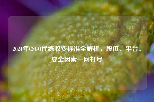 2024年CSGO代练收费标准全解析,段位、平台、安全因素一网打尽
