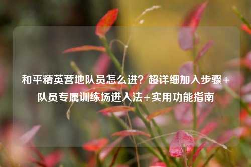 和平精英营地队员怎么进?超详细加入步骤+队员专属训练场进入法+实用功能指南