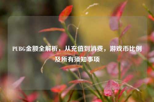 PUBG金额全解析,从充值到消费,游戏币比例及所有须知事项