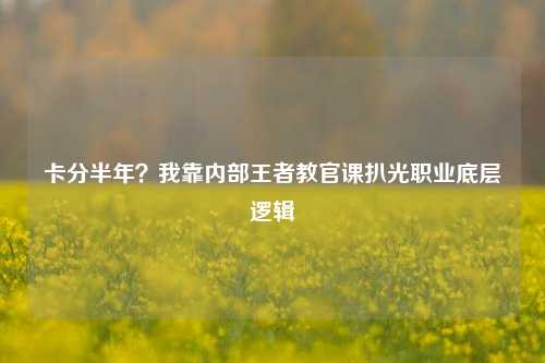 卡分半年?我靠内部王者教官课扒光职业底层逻辑