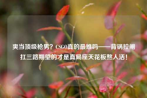 爽当顶级枪男?CSGO真的最难吗——背锅拉闸扛三路期望的才是真局座天花板熬人活!